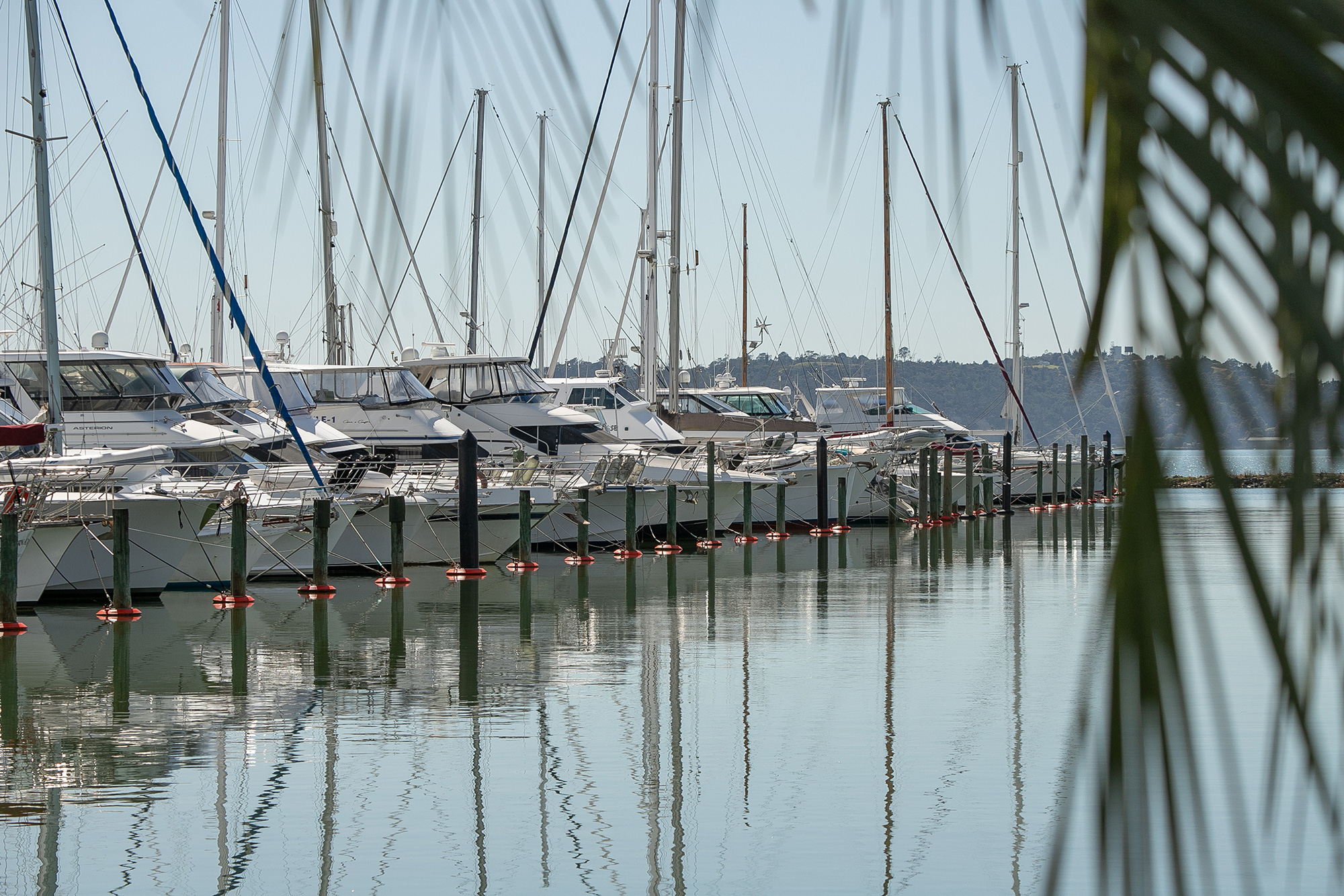 Launches and yachts at their berths in Hobsonville Marina
